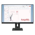 Lenovo ThinkVision E24-40 Monitor